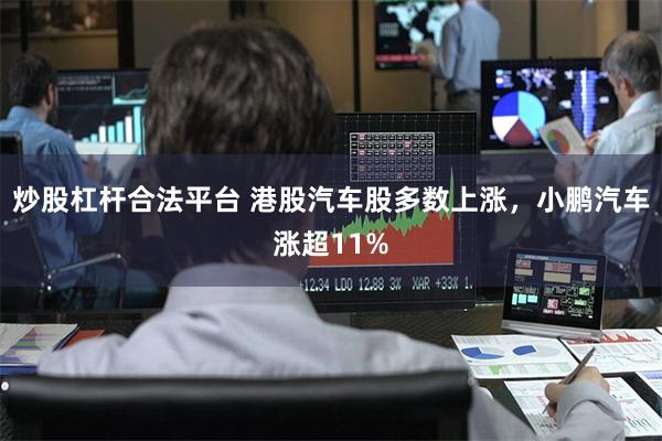 炒股杠杆合法平台 港股汽车股多数上涨，小鹏汽车涨超11%