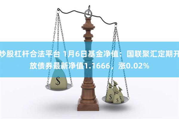 炒股杠杆合法平台 1月6日基金净值：国联聚汇定期开放债券最新净值1.1666，涨0.02%
