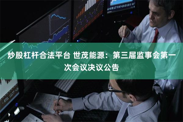 炒股杠杆合法平台 世茂能源：第三届监事会第一次会议决议公告